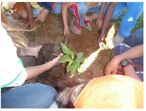 Educação Ambiental — foto 5