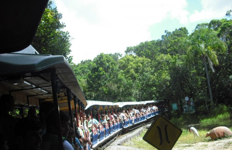 Um dia Inesquecível — foto 6